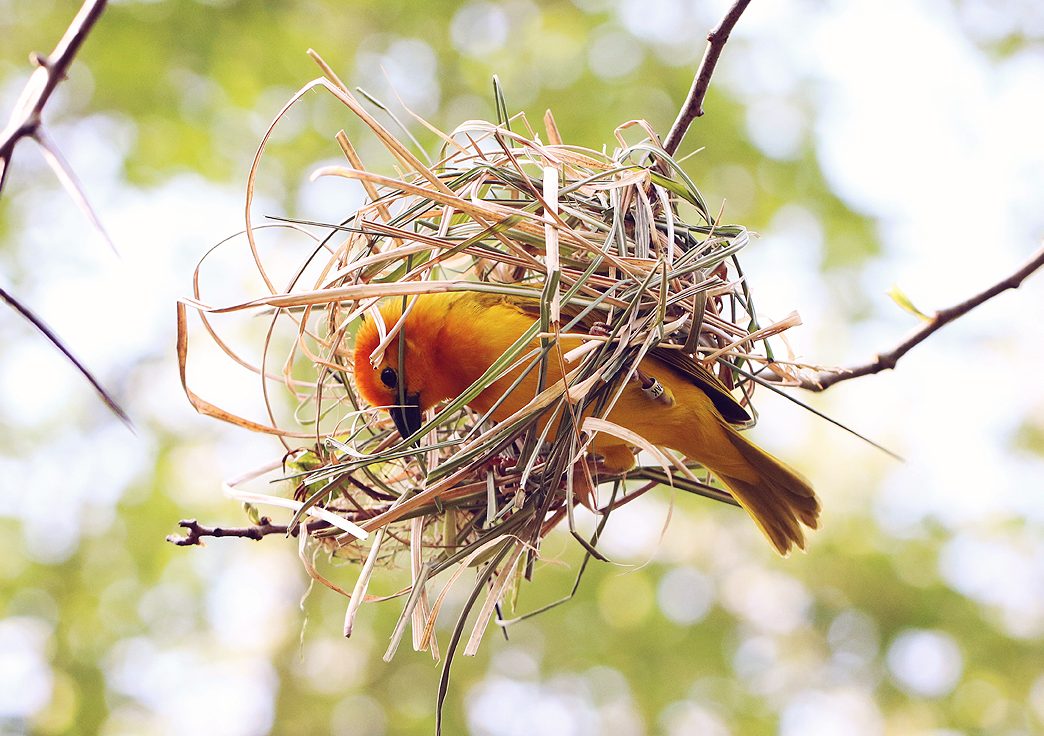 cropped-iStock-996156228.jpg